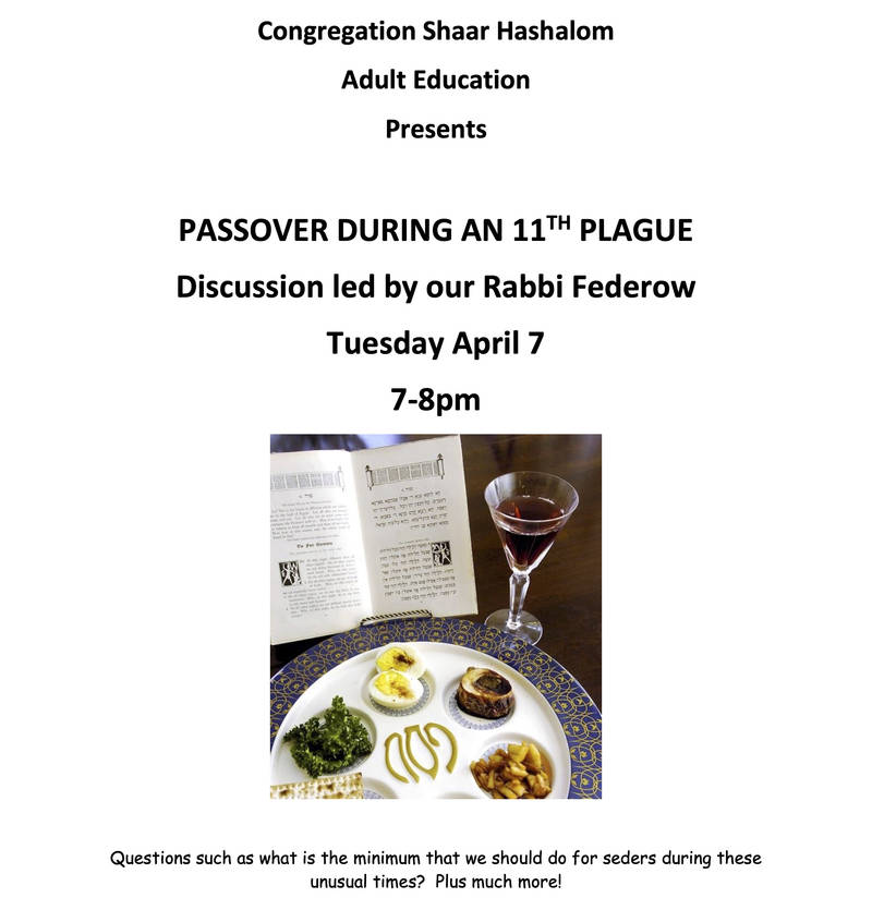 Banner Image for Passover During the 11th Plague - Online Event